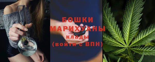 сатива Арсеньев