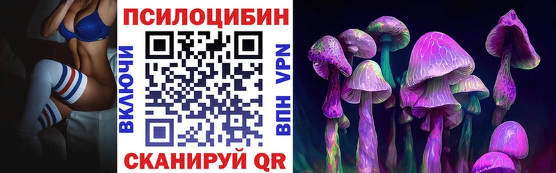 Псилоцибиновые грибы GOLDEN TEACHER  купить   Зубцов 